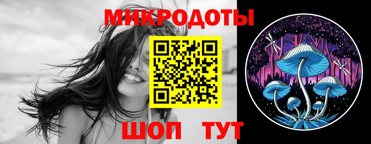 Псилоцибиновые грибы Psilocybine cubensis  Вход с VPN  Бузулук 